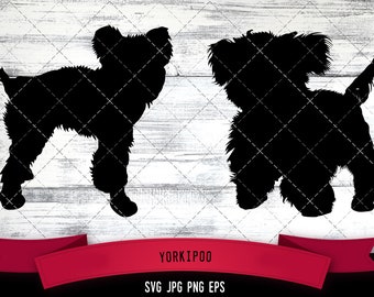 Yorkipoo svg, crossbreed svg, Yorkshire Terrier, Toy poodle svg, Miniature Poodle, cut files for Cricut, Silhouette Design, Svg, PNG, Dxf