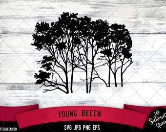 Young Beech SVG -Vector Art Commercial & Personal Use- Cricut,Silhouette,Cameo,Vinyl Cut