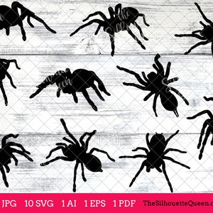 Tarantula svg, Tarantula monogram, Tarantula svg file, Tarantula cuttable, svg bundle, cut files, silhouette, cricut files, vector eps, jpg