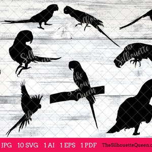 May include: A set of ten black silhouette images of parrots in various poses. The parrots are shown perched, flying, and in mid-air. The images are set against a white woodgrain background.