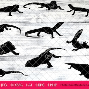 May include: A set of ten black silhouette images of lizards in various poses. The images are on a white wood background. The text "The Silhouette Queen" is at the bottom of the image.