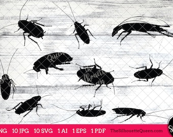 Cockroach Insect svg, Cockroach Bug monogram, Cockroach svg file, cuttable, bundle, cut files, silhouette, cricut files, vector eps, jpg