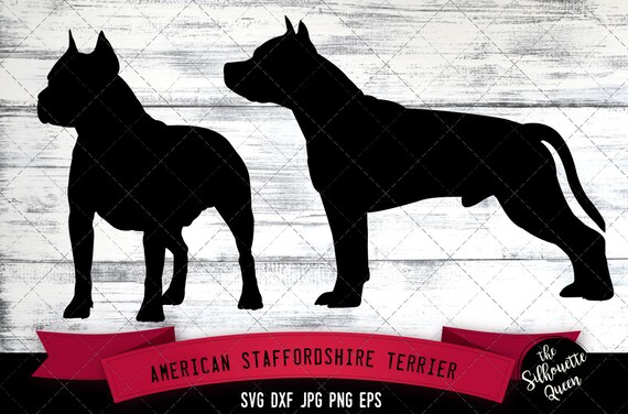 Download American Staffordshire Terrier Svg Files Dog Svg Silhouette Etsy
