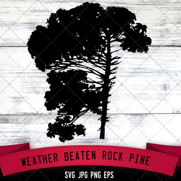 Weather beaten Rock Pine SVG -Vector Art Commercial & Personal Use- Cricut,Silhouette,Cameo,Vinyl Cut