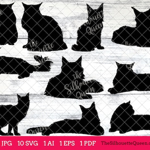 Maine Coon Cat, cat svg, cat monogram, cat svg file, clipart vector, cat svg bundle, cat cut files, cat silhouette, cat cricut, eps, png