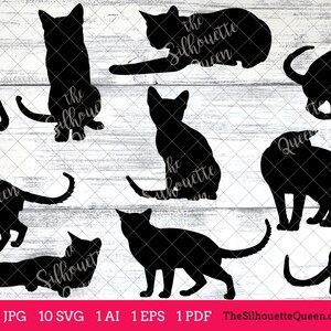 Tonkinese Cat Svg, cat svg, cat monogram, cat svg file, clipart vector, cat svg bundle, cat cut files, cat silhouette, cat cricut, eps, png