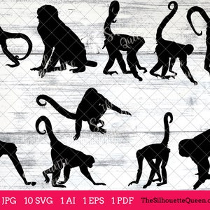 Spider Monkey svg, Monkey monogram, Monkey svg file,cuttable, Monkey svg bundle, cut files, silhouette studio, cricut files, vector eps, jpg