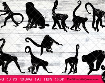 Spider Monkey svg, Monkey monogram, Monkey svg file,cuttable, Monkey svg bundle, cut files, silhouette studio, cricut files, vector eps, jpg