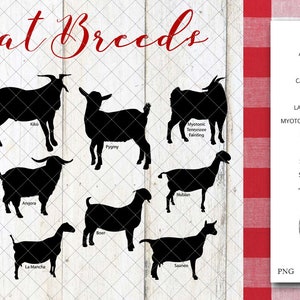 Fichier de chèvre races Silhouette vecteur de svg, svg vache découpée fichier, studio de silhouette, cricut design d’espace, Svg, Png, Eps, Pdf, Vector Design
