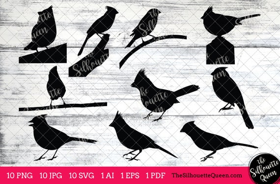 Download Cardinal Bird SVG Files Bundle Flying Bird SVG Sitting Bird | Etsy