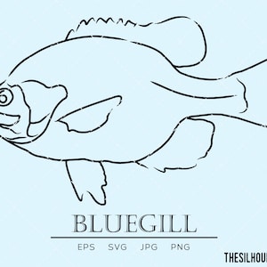 Bluegill Drawing 