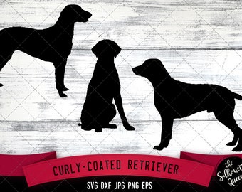 Curly Coated Retriever SVG Files, Dog Svg, Silhouette File, Cricut File, Cut File, Scan n Cut, Vector, Dog Love, Vinyl File, eps, dxf, png