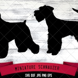 Miniature Schnauzer SVG Files, Dog Svg, Silhouette File, Cricut File, Cut File, Scan n Cut, Vector, Dog Love, Vinyl File, eps, dxf, png