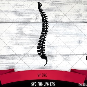 Spine SVG,  Silhouette, Logo, Spine  SVG Cut Files for Cricut Design, Spine  Digital Commercial Clipart