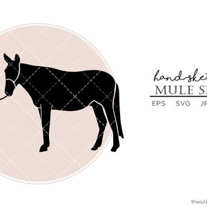 Hand getekende Mule Toon illustraties, logo, gesneden bestanden voor Silhouette Cameo Studio, Cricut Design Space, Svg, Png, Vector Design