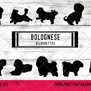 Bolognese dog svg, dog svg, dog monogram svg, dog svg files cricut, dog svg cut files, dog svg image, dog svg design, svg bundle, eps