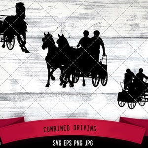 Combined Driving Silhouette, Equestrian Sport Vector / SVG / Clipart / Grafica / File di taglio per Cricut / Vinile