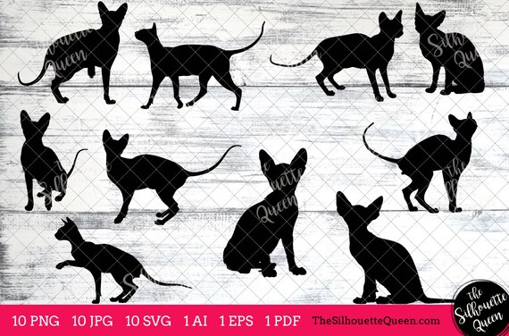 Download Sphynx Svg Cat Svg Cat Svg Monogram Cat Silhouette Clipart Etsy