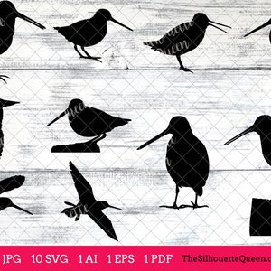 Snipe Bird SVG Files Bundle, Flying Bird SVG, Sitting Bird SVG, Silhouette Studio, Cricut Design Space, Svg, Png, Eps, Pdf, Vector Design