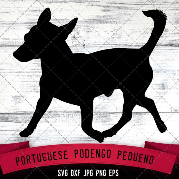 Portuguese Podengo Pequeno SVG Files, Dog Svg, Silhouette File, Cricut File, Cut File, Scan n Cut, Vector,