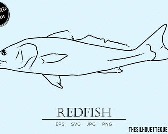 Redfish svg, salt water fish svg,  marine svg, aquatic svg, fish face svg, fish tail svg, vector, cut files for circuit