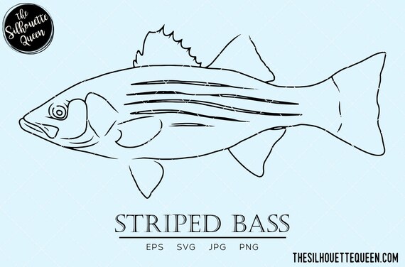 Striped Bass Svg, Salt Water Fish Svg, Marine Svg, Aquatic Svg