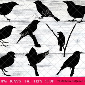 Nightingale Bird SVG Files Bundle, Flying Bird SVG, Sitting Bird SVG, Silhouette Studio, Cricut Design Space, Svg, Png, Eps, Pdf, Vector