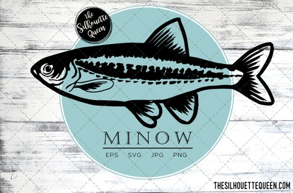 Minnow Fish, SVG Design Files, Hand Drawn Fishing Vector Clipart, Cricut,  Silhouette Cameo, PNG, EPS, - Etsy