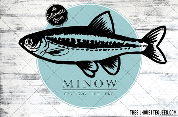 Minnow Fish, SVG Design Files, Hand Drawn Fishing Vector Clipart