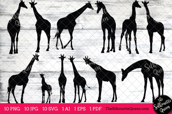 cover monogram giraffe