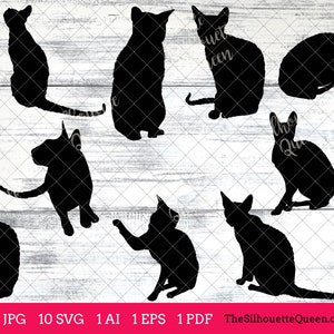 Cornish Rex Cat svg, cat monogram, cat svg file, clipart vector, cat svg bundle, cat cut files, cat silhouette, cat cricut, eps, png
