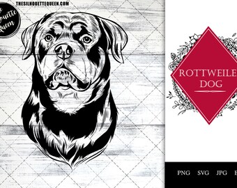 Rottweiler, dog breed, pet dog, dog lover, dog mom dad, dog paw svg, vector, svg, hand drawn, cut files for circuit