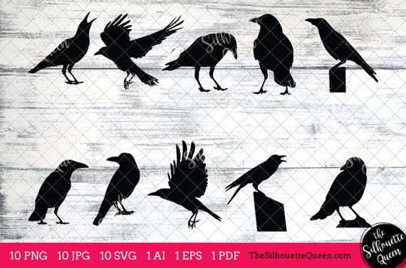 Crow Bird SVG Files Bundle, Flying Bird SVG, Sitting Bird SVG, Silhouette  Studio, Cricut Design Space, Svg, Png, Eps, Pdf, Vector Design - Etsy