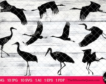 Whooping Crane Bird SVG Files Bundle, Flying Bird SVG, Sitting Bird SVG, Silhouette Studio, Cricut Design Space, Svg, Png, Eps, Pdf, Vector