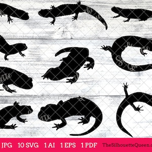 Salamander svg, Salamander monogram, Salamander svg file, cuttable, svg bundle, cut files, silhouette, cricut files, vector eps, jpg