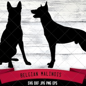 May include: Silhouette of two Belgian Malinois dogs, one sitting and one standing, against a white wood background. The text "BELGIAN MALINOIS" is below the dogs, and "SVG DXF JPG PNG EPS" is below the text. The text "the Silhouette Queen" is in the bottom right corner.