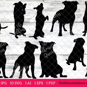 Stafford shire Bull Terrier dog svg, dog svg, dog monogram svg, dog svg files cricut, dog svg cut files, dog svg image, dog svg design