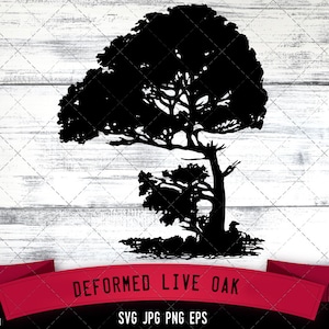 May include: A black silhouette of a deformed live oak tree. The tree has a large, rounded canopy and a smaller tree at its base. The image includes the text "Deformed Live Oak" on a red banner.
