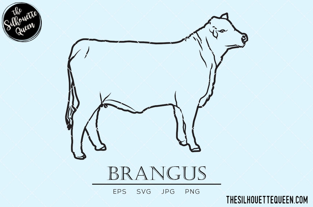 Brangus Cow, Brahman Cow Svg, Angus Cow Svg, Cattle Svg, Hybrid Cow Svg