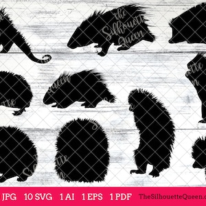 Porcupine svg, Porcupine monogram, Porcupine svg file,cuttable, Porcupine svg bundle, cut files, silhouette studio, cricut files, vector eps