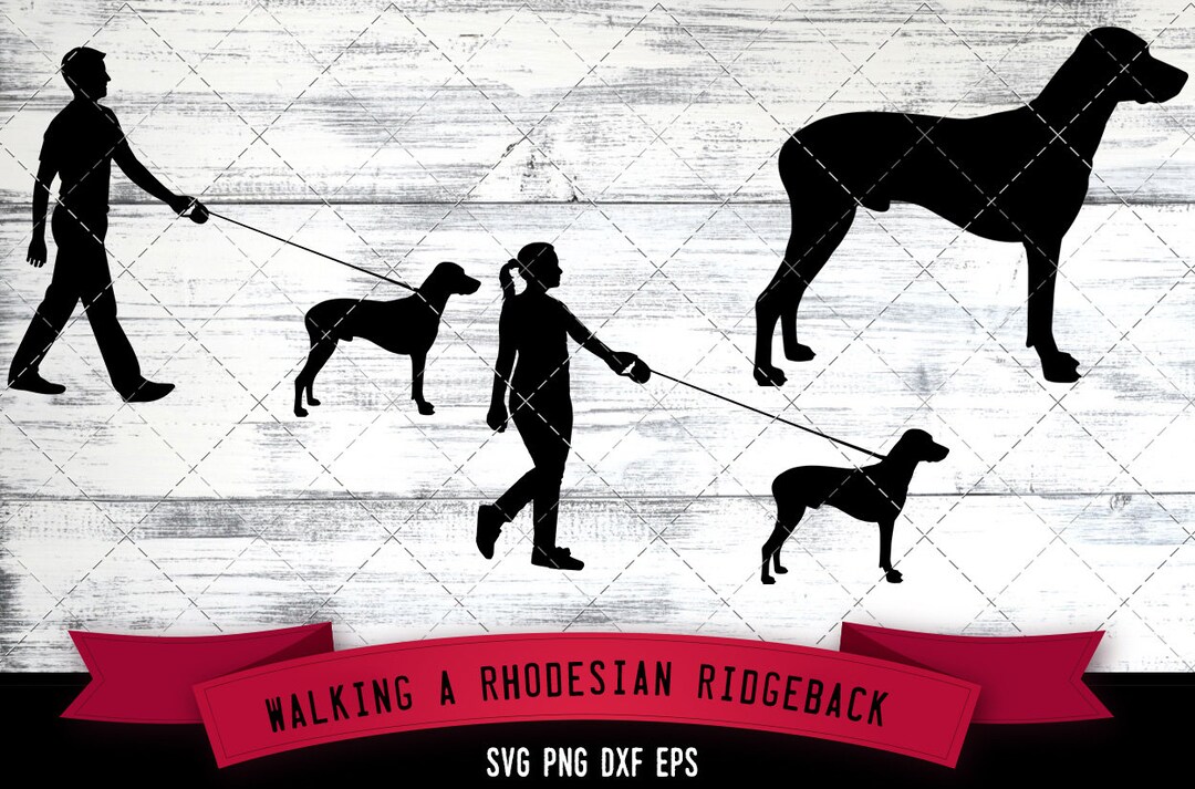 Man Woman Walking a Rhodesian Ridgeback Dog, Dog Lover, Dog Walker SVG ...