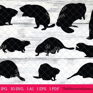 Beaver svg, Beaver monogram, Beaver svg file,cuttable, Beaver svg bundle, cut files, silhouette studio, cricut files, vector eps, jpg
