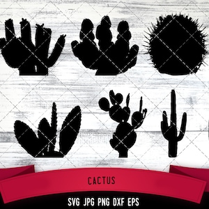 Cactus svg, Cetacean svg, suculents svg, decoración del hogar svg, planta del desierto svg, archivos cortados para Cricut, Silhouette Design, PNG, Dxf