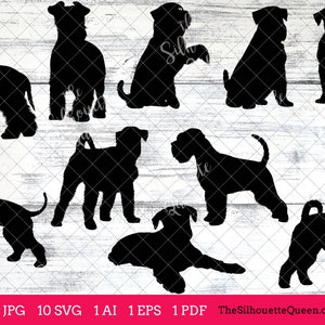 Miniature Schnauzer dog svg, dog svg, dog monogram svg, dog svg files cricut, dog svg cut files, dog svg image, dog svg design, svg bundle