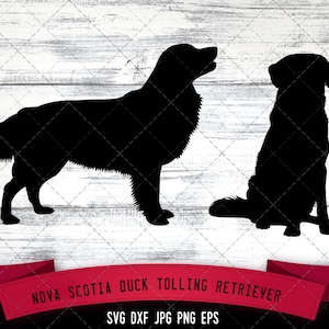 Nova Scotia Duck Tolling Retriever SVG Files, Dog Svg, Silhouette File, Cricut File, Cut File, Scan n Cut, Vector, Dog Love, Vinyl File