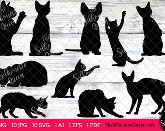 Devon Rex Cat svg, cat monogram, cat svg file, clipart vector, cat svg bundle, cat cut files, cat silhouette, cat cricut, eps, png