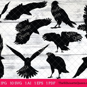 Hawk Bird SVG Files Bundle, Flying Bird SVG, Sitting Bird SVG, Silhouette Studio, Cricut Design Space, Svg, Png, Eps, Pdf, Vector Design