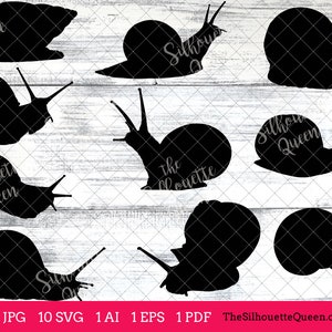 Sea Snail svg, Snail monogram, Snail svg file, Snail cuttable, Snail svg bundle, cut files, silhouette, cricut files, vector eps, jpg