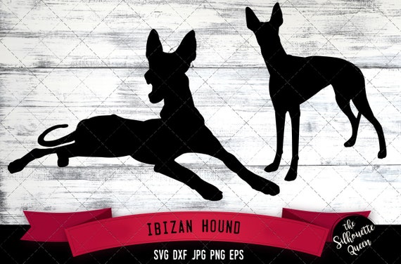 Download Ibizan Hound Svg Files Dog Svg Silhouette File Cricut File Etsy Yellowimages Mockups