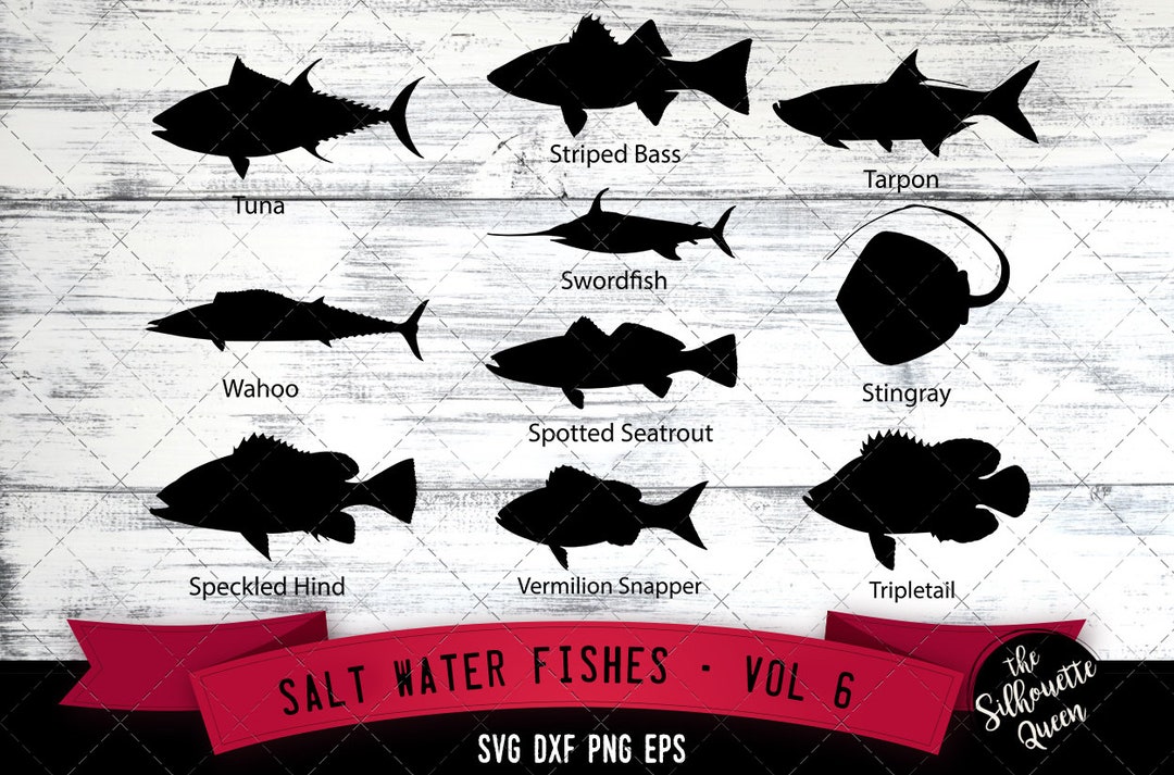 Salt Water Fishes Svg V6 Tuna, Wahoo, Speckled Hind, Striped Bass